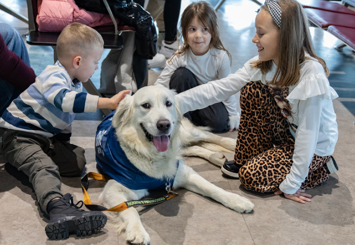 Ντίνο: Ο «σκύλος ζεν» που χαλαρώνει τους επιβάτες με φοβία στις πτήσεις-2