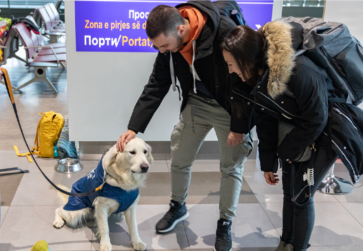 Ντίνο: Ο «σκύλος ζεν» που χαλαρώνει τους επιβάτες με φοβία στις πτήσεις-3