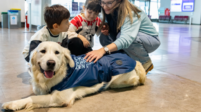 ντίνο-ο-σκύλος-ζεν-που-χαλαρώνει-του-563465905