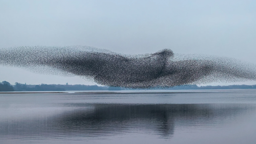 εχεις-ένα-κλάσμα-του-δευτερολέπτου-563470282