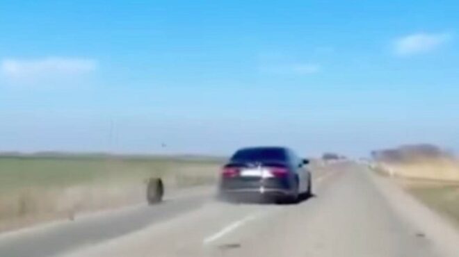 σερβία-η-ρόδα-του-προέδρου-που-έκανε-το-563461285