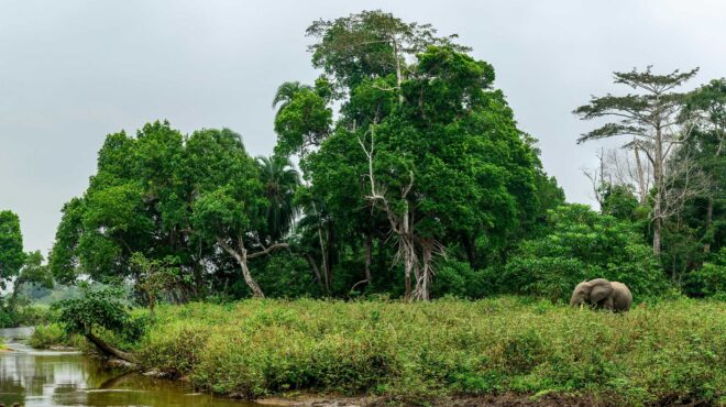 μοναδικές-συναντήσεις-με-την-άγρια-ζω-563478175