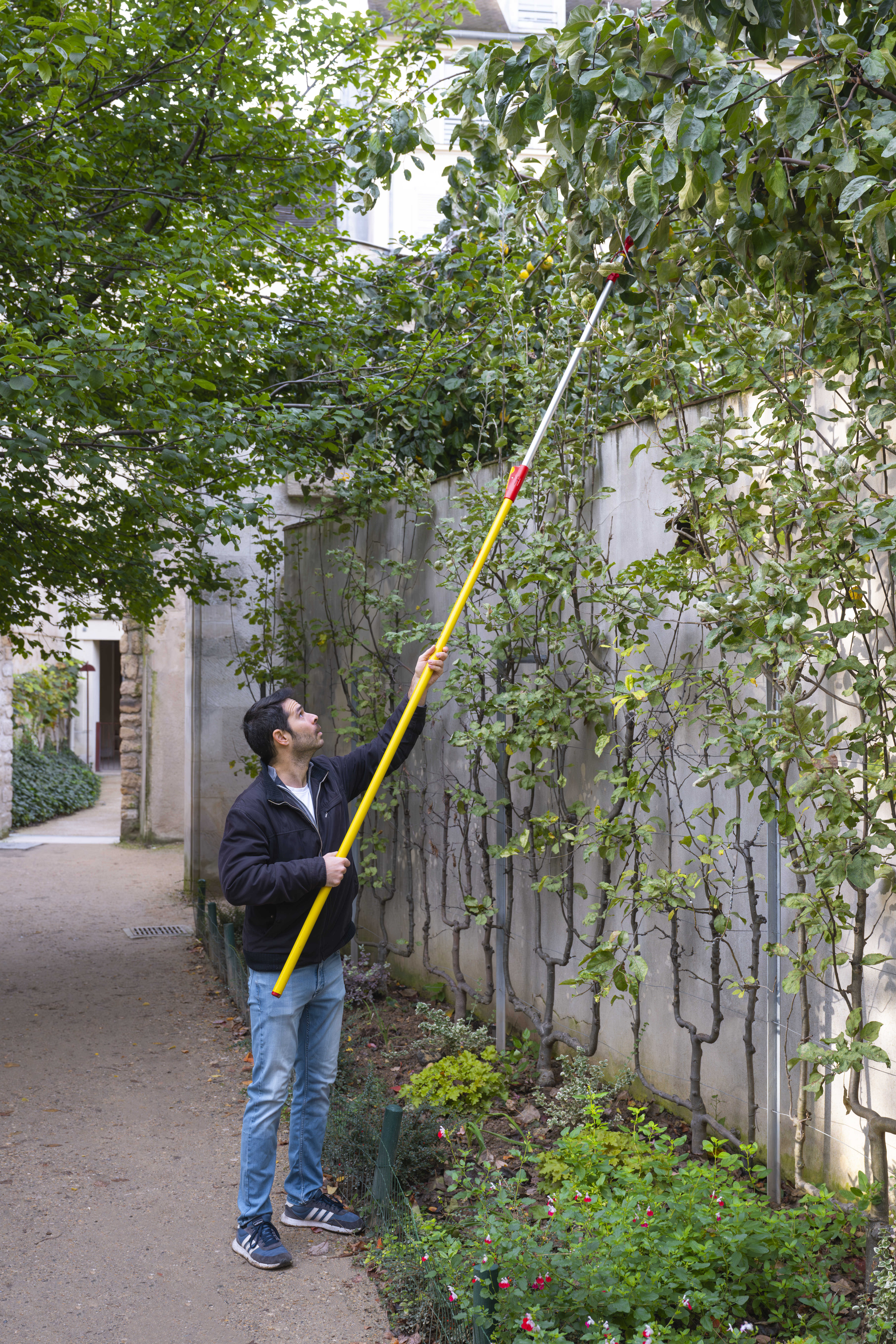 Ο Ελληνας που έκανε τα ξεχασμένα φρούτα του Παρισιού… βραβευμένη γεύση-2