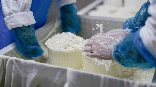 τυροκομείο-μυκόνου-κουκάς-το-κάθετ-563473663