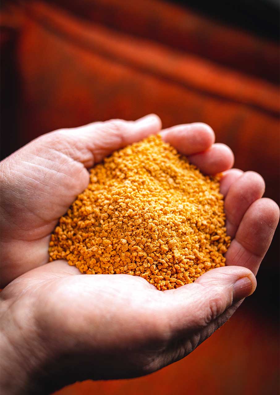 Αλεξανδρούπολη στο πιάτο: Τα καλύτερα τοπικά προϊόντα-2