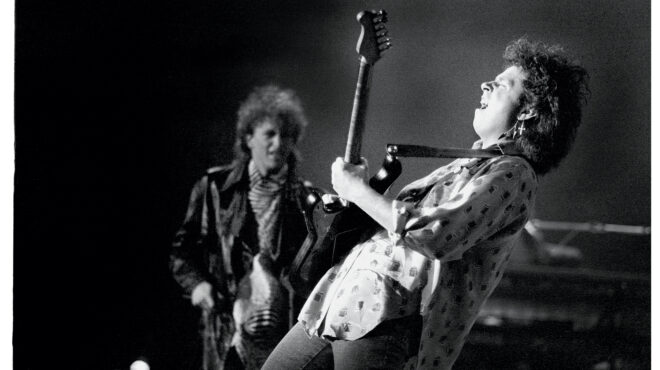 η-απίστευτη-επιστροφή-των-toto-μισό-αιώνα-563476069