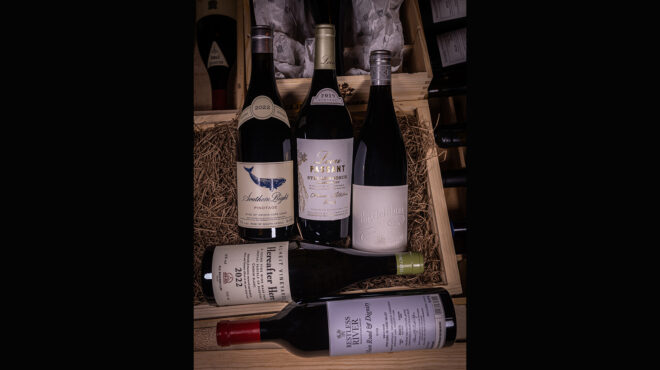 5-οινικές-προτάσεις-από-τη-νότια-αφρική-563490523