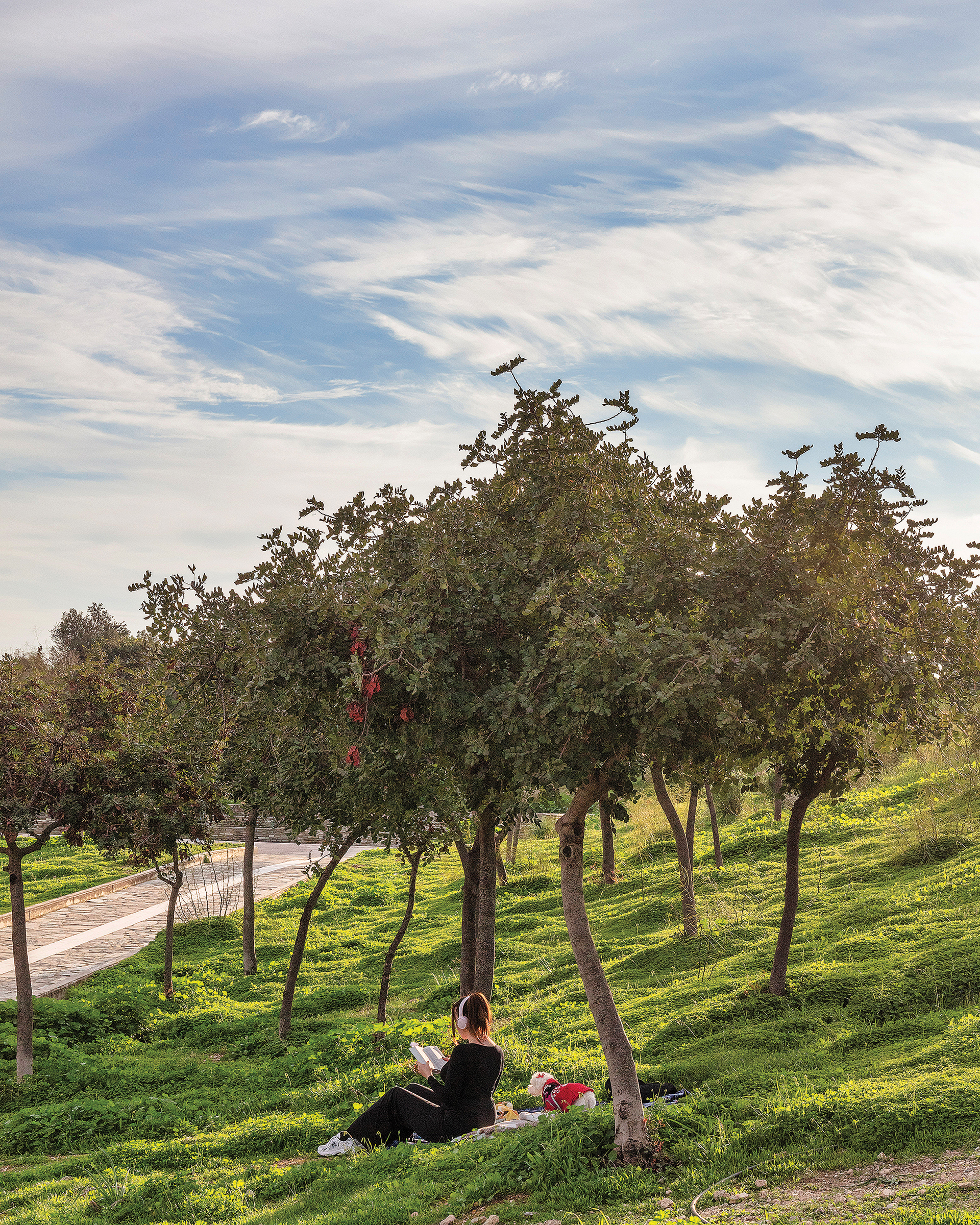 Βόλτα σε ένα καλά κρυμμένο μυστικό των Νοτίων Προαστίων-1