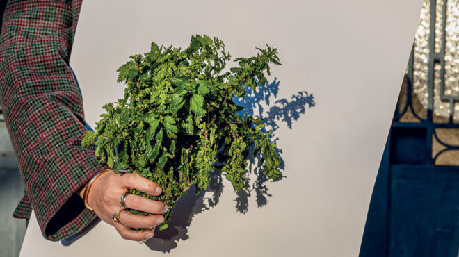 το-βιάγκρα-των-αρχαίων-ήταν-αυτό-το-φ-563468707