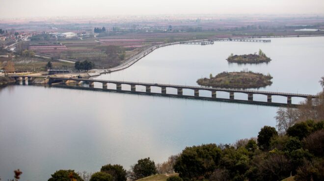 αλιάκμονας-ανεπεξέργαστα-ή-πλημμελώ-563484469