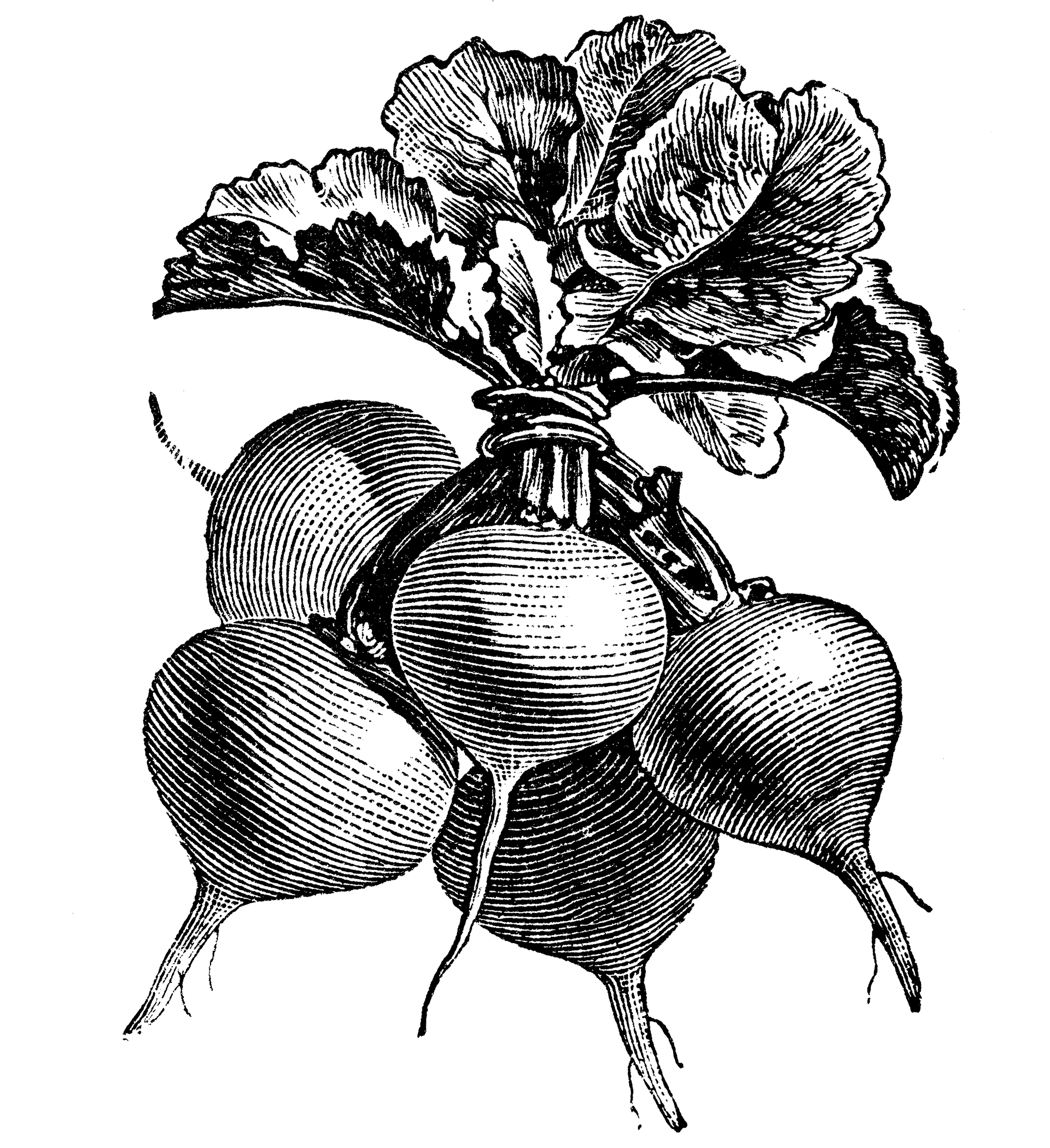 Το λαχανικό που βοηθάει ενάντια στον βήχα και το «φούσκωμα»-1