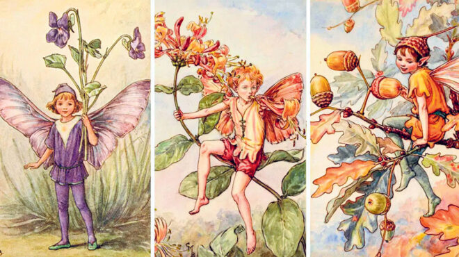 ο-ονειρικός-κόσμος-της-σίσελι-μαίρη-μπ-563481043