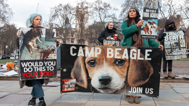 μήπως-να-μπει-ένα-τέλος-στα-πειράματα-σ-563490769