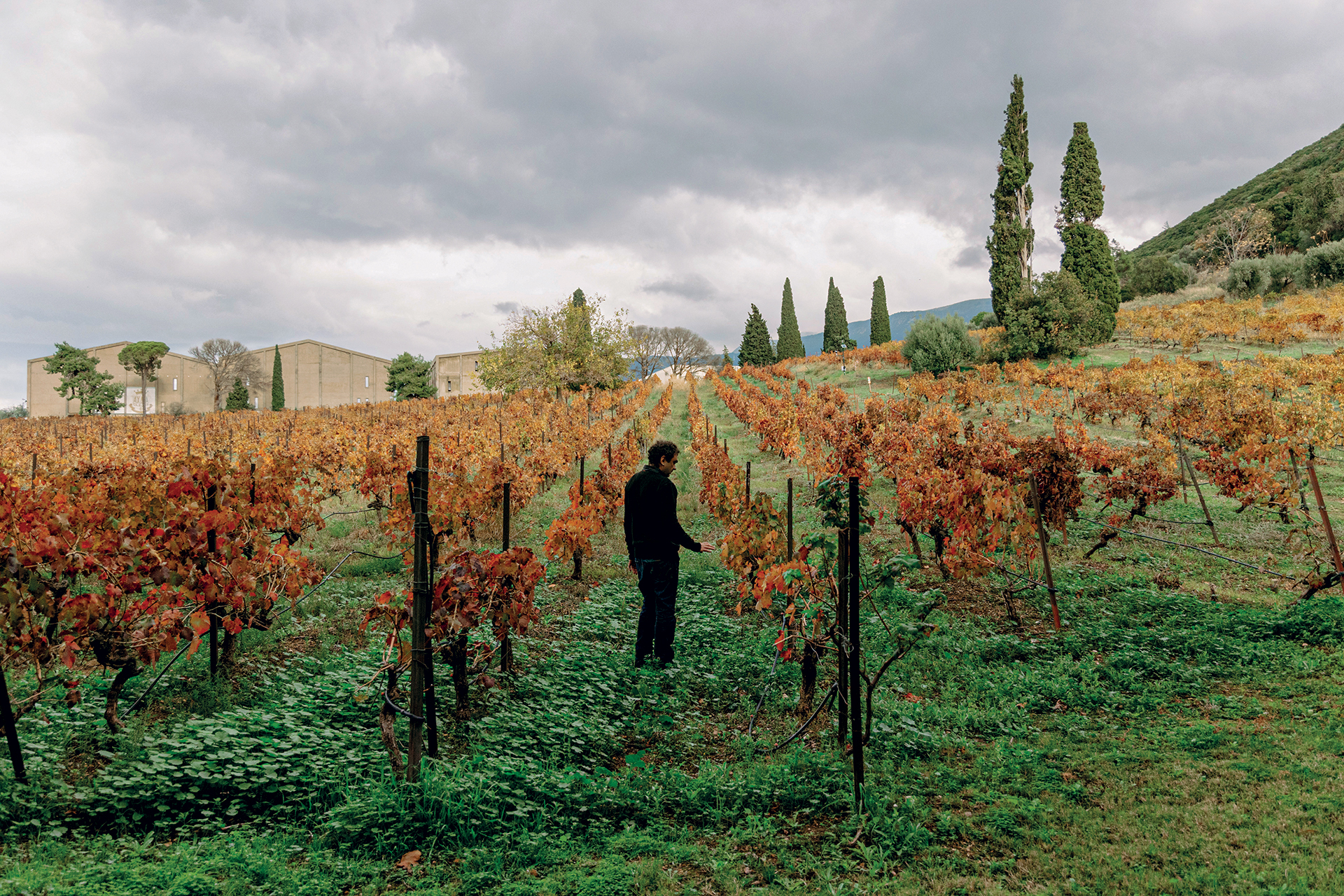 Αγνωστες ιστορίες από το κελάρι της Achaia Clauss-7