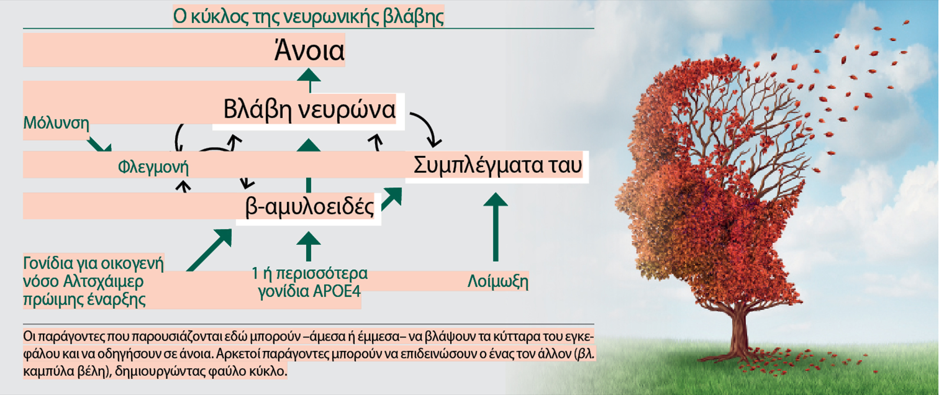 Προκαλούνται κάποια περιστατικά νόσου Αλτσχάιμερ από λοίμωξη;-2