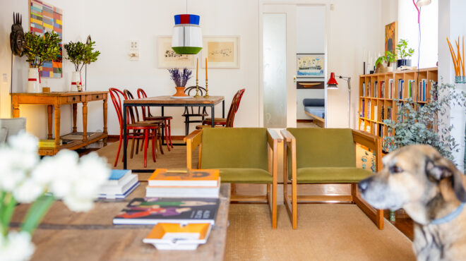 μία-μονοκατοικία-στου-παπάγου-γεμάτη-563487007