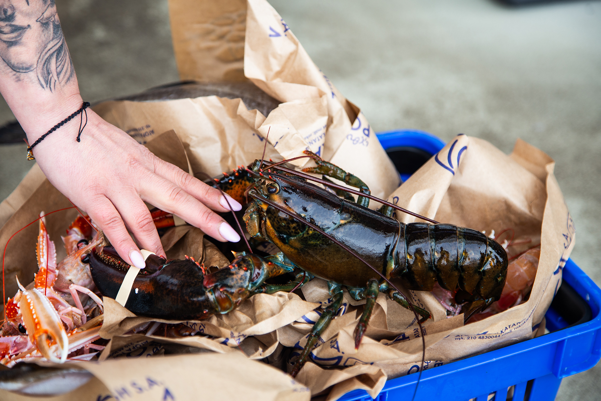 Στην αγορά του Ρέντη για ελληνικά τυριά, φρέσκο ψάρι και νόστιμους μεζέδες-3
