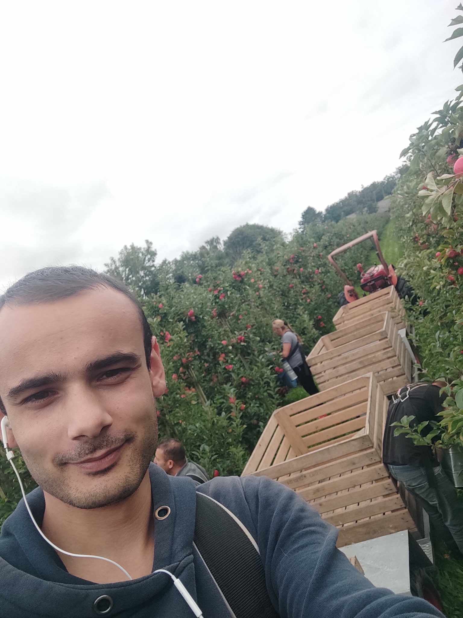 Από τους ελαιώνες της Κρήτης έως τα αμπέλια της Ελβετίας-3