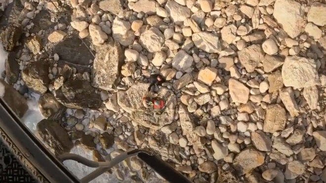 γαύδος-διάσωση-τραυματία-από-super-puma-της-πο-563476774