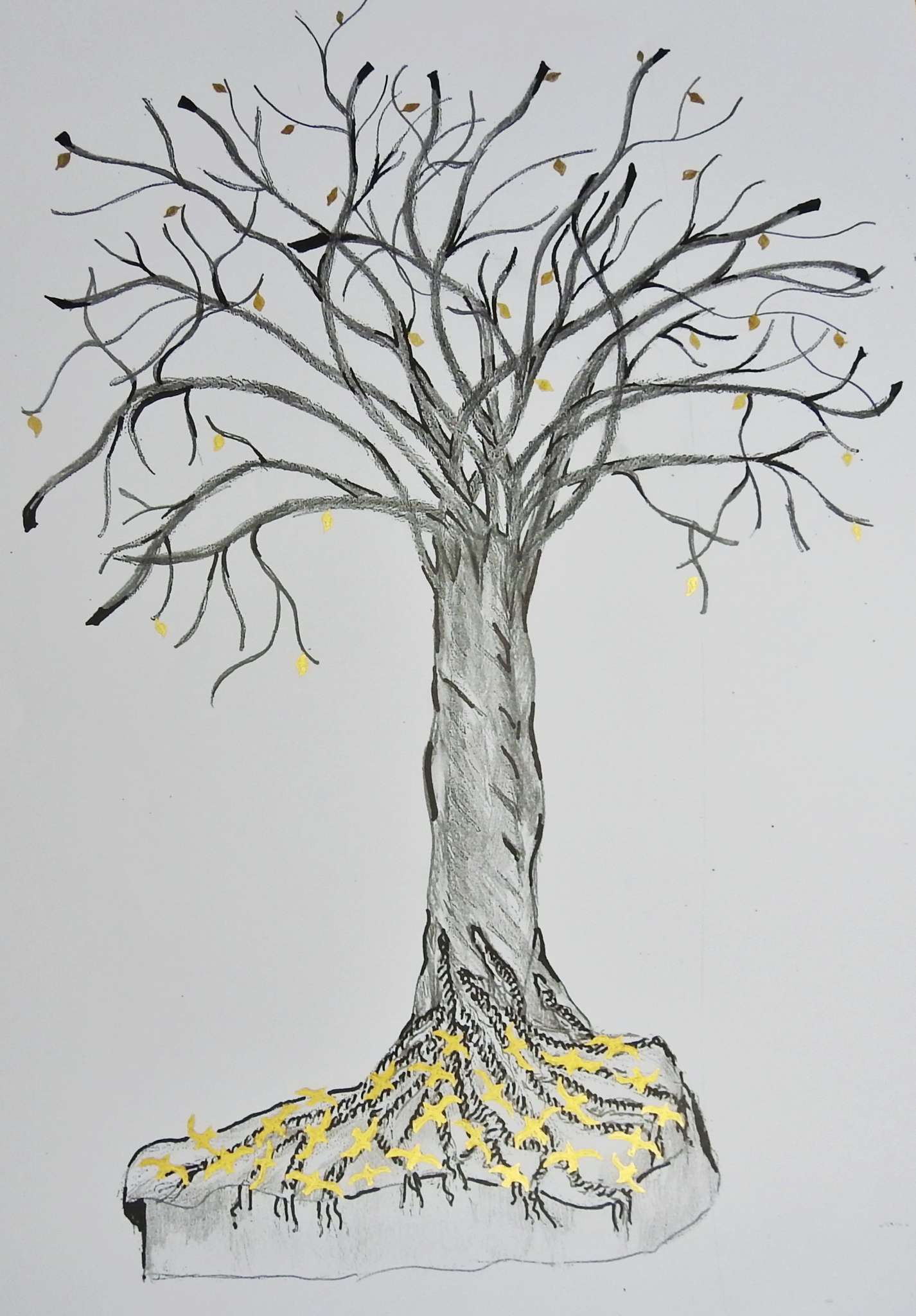 «Λύγισα όταν έγραψα τα ονόματα και τις ηλικίες»-2