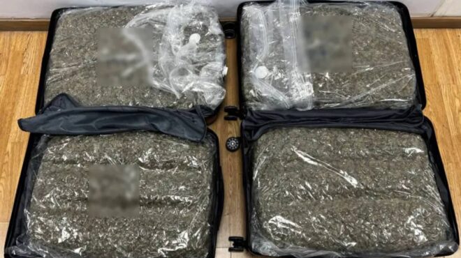 ελ-βενιζέλος-συνελήφθη-γυναίκα-μέλ-563470204