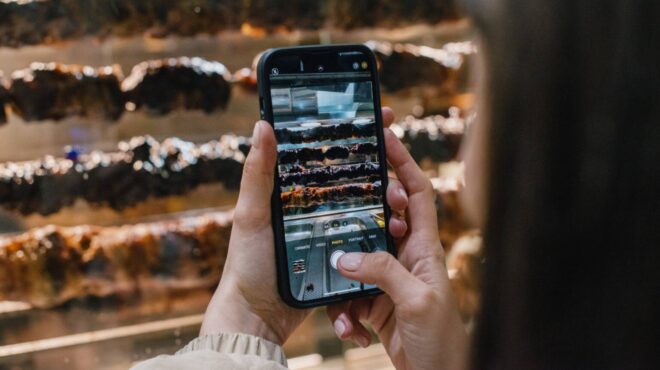 σούβλα-για-πάντα-4-μαγαζιά-για-κρέας-λο-563475949