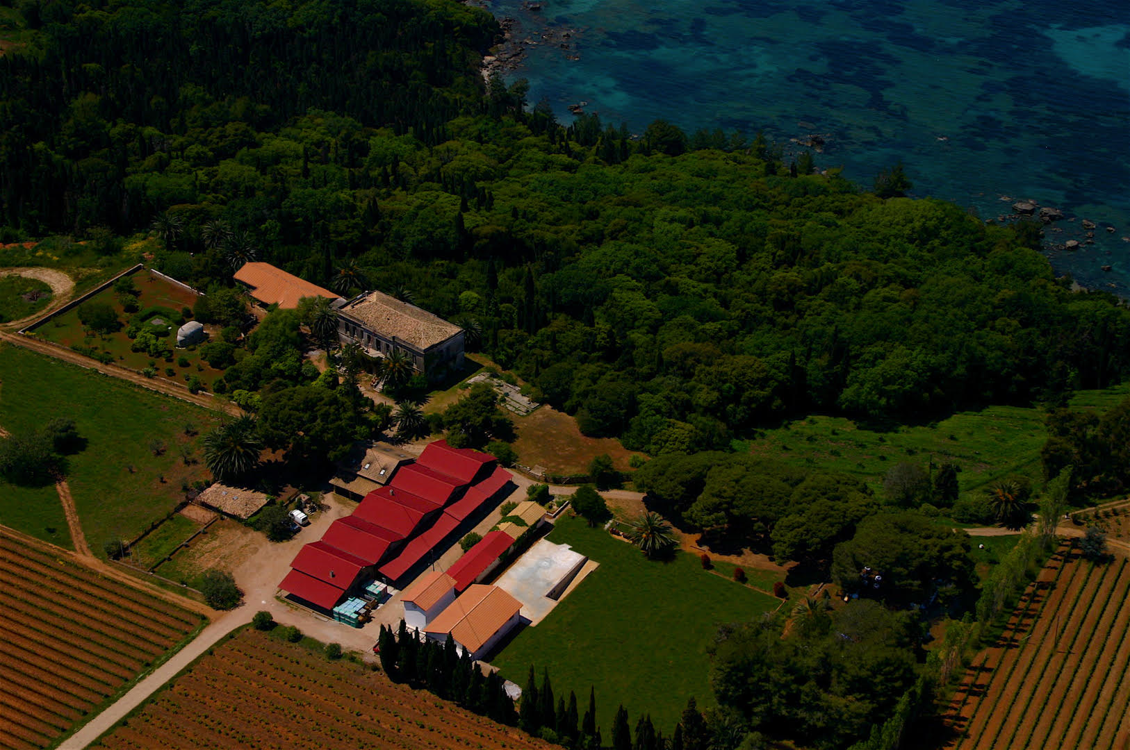 Το μετέωρο βήμα ενός ιστορικού οινοποιείου στην Πελοπόννησο-3