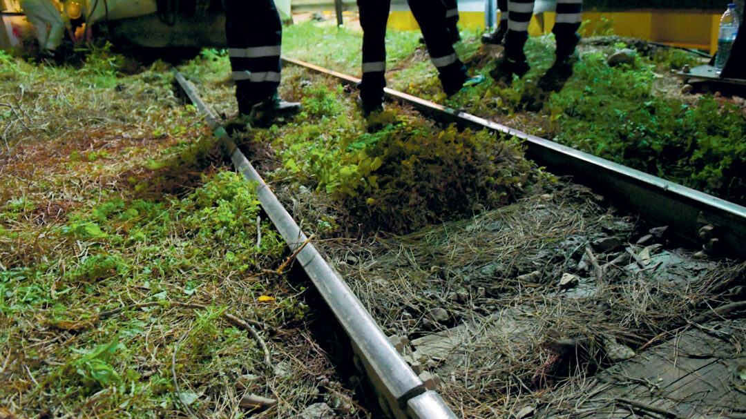 ο-πόλεμος-οσε-hellenic-train-και-τα-τρένα-που-πάντ-563448463