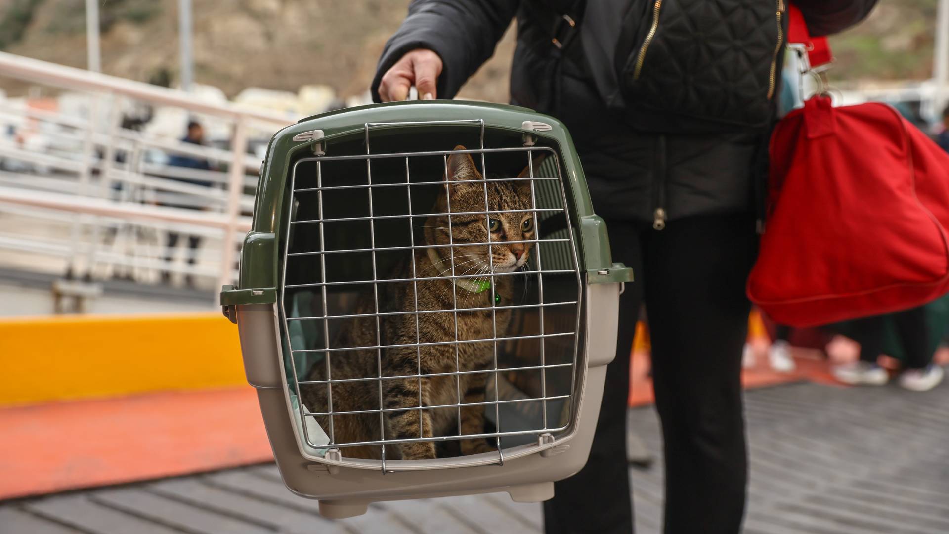 Σαντορίνη: Πάνω από 9.000 άνθρωποι έχουν αναχωρήσει τις τελευταίες ώρες-2