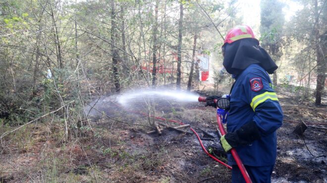 φωτιά-στον-πύργο-ηλείας-σε-αναγεννημέ-563483362