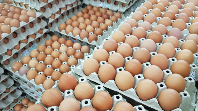 ηπα-η-μεγάλη-ληστεία-των-100-000-αυγών-563454826