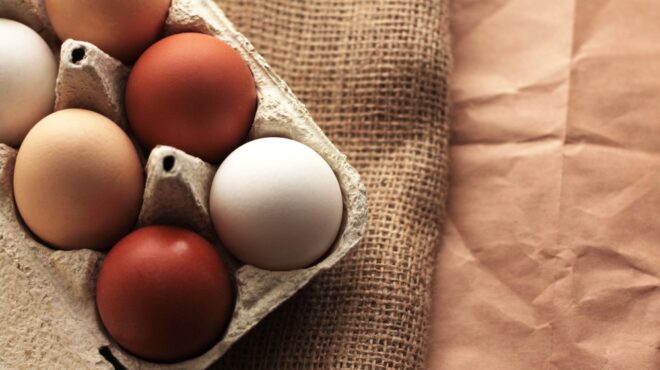 οι-ηπα-στρέφονται-σε-τουρκία-και-νότια-563487142