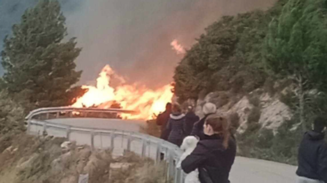 λευκάδα-συνελήφθη-60χρονος-για-τη-μεγάλ-563530312