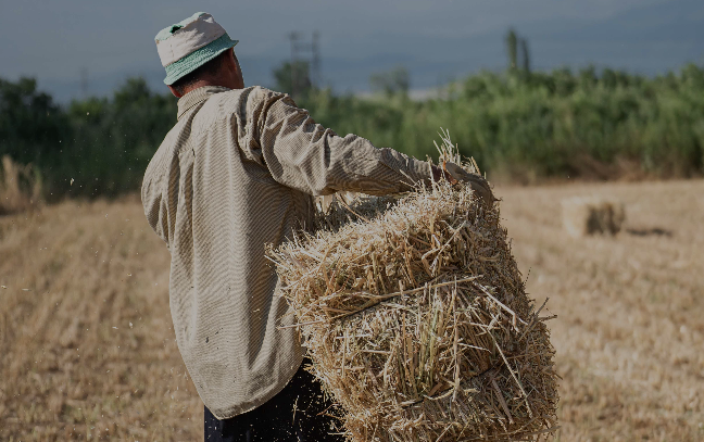 Πόσες εργατοώρες «καίει» η κλιματική κρίση-4