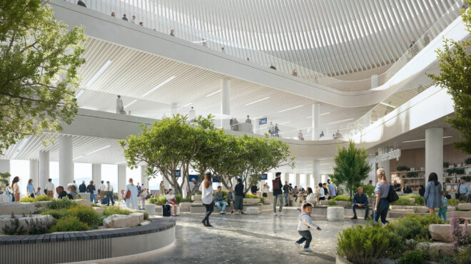 αθηναϊκές-πλατείες-δέντρα-και-φυτά-στ-563537176