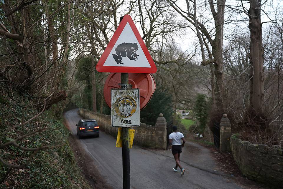 Ερωτας στις λάσπες-2
