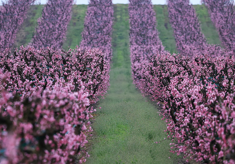 Στην Πύλο όλα τα φώτα-3