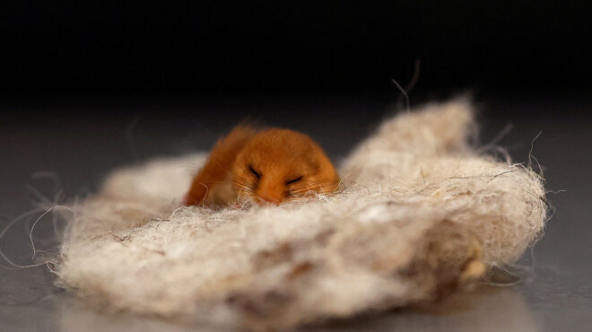 η-εποχή-των-ορφανών-563520994