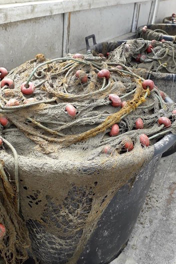 H «επίθεση» της βλέννας στο Θρακικό Πέλαγος-1