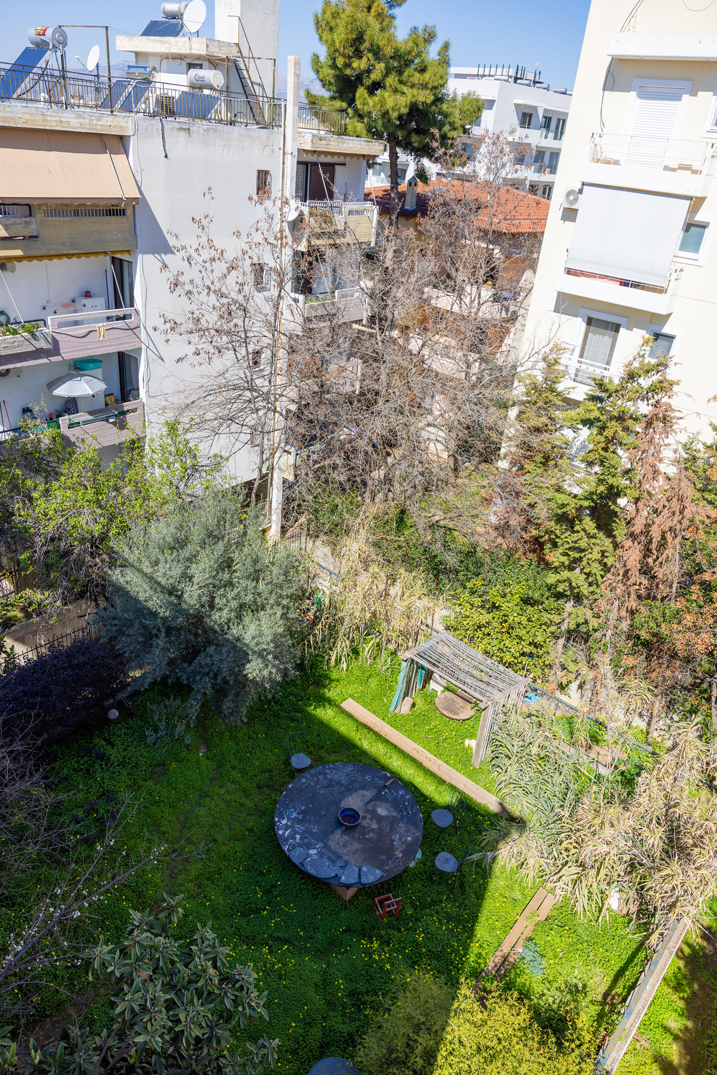 Ξεφυτρώνουν μποστάνια στις αθηναϊκές ταράτσες-3