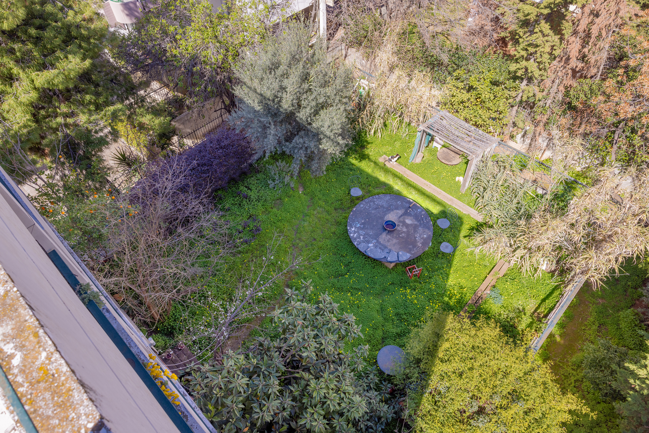 Ξεφυτρώνουν μποστάνια στις αθηναϊκές ταράτσες-1