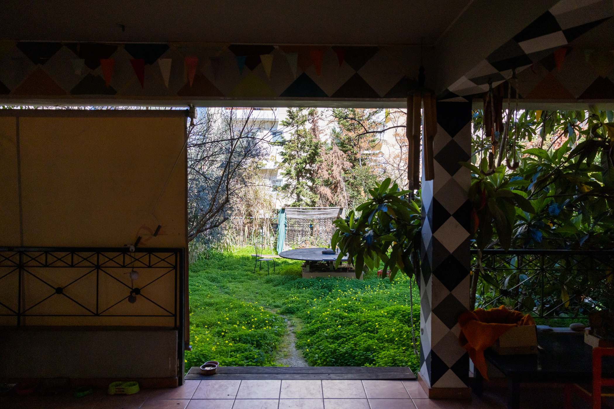 Ξεφυτρώνουν μποστάνια στις αθηναϊκές ταράτσες-2