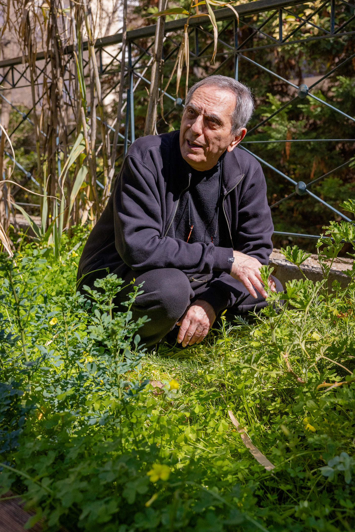 Ξεφυτρώνουν μποστάνια στις αθηναϊκές ταράτσες-4