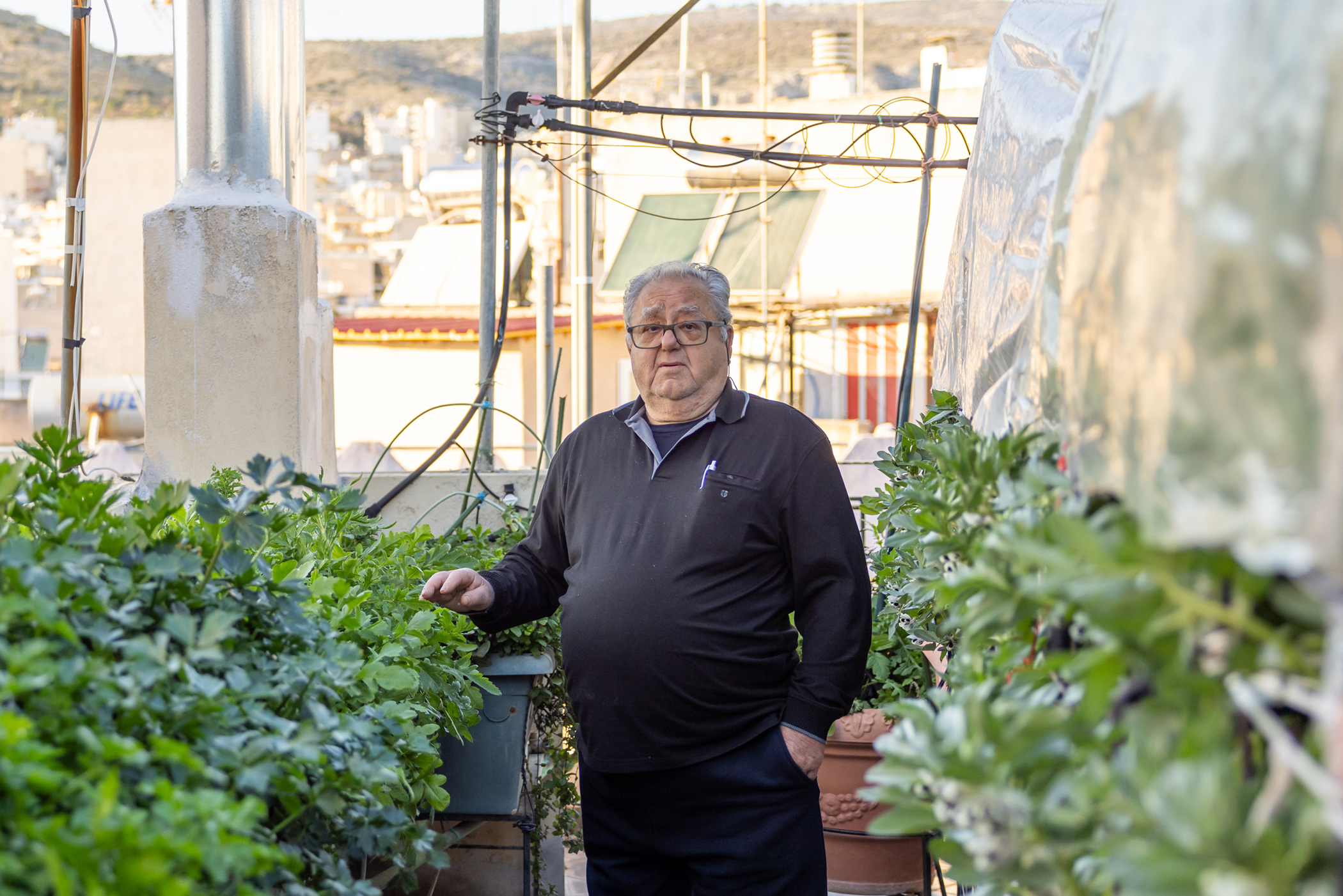 Ξεφυτρώνουν μποστάνια στις αθηναϊκές ταράτσες-7