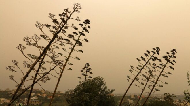 απαγόρευση-καύσης-σε-όλη-την-ελλάδα-λό-563509597