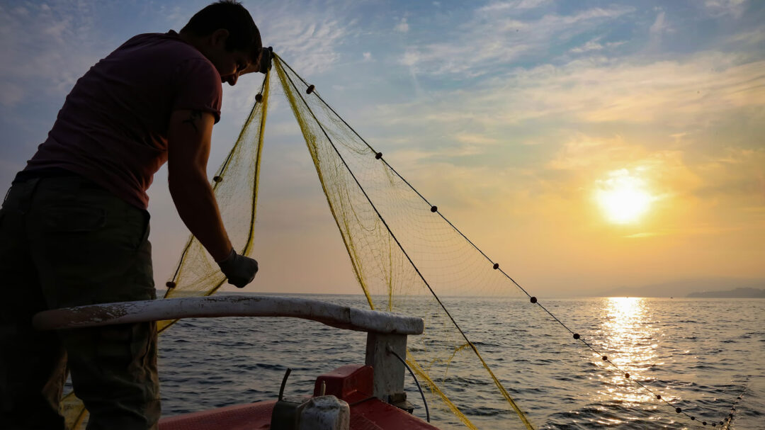 h-επίθεση-της-βλέννας-στο-θρακικό-πέλ-563522410