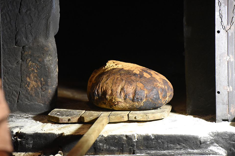 Μια βελανιδιά σε ρόλο Tinder-3