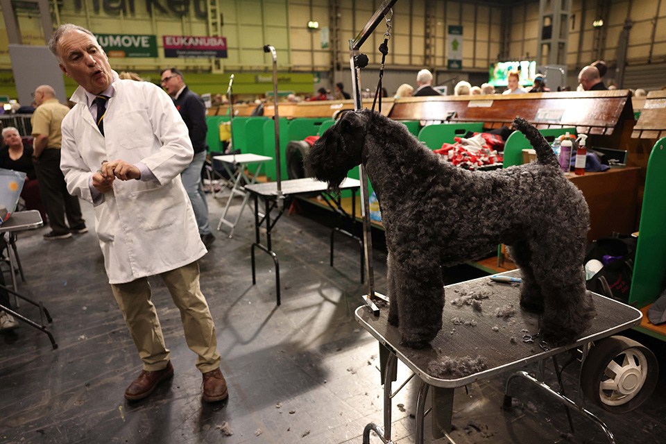 Το Crufts Dog Show-3