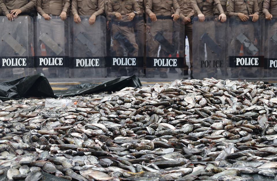 Η εποχή των ορφανών-2