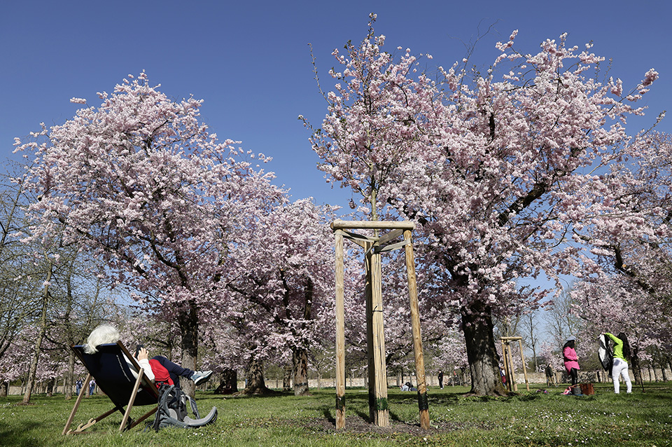Εξαγνισμός με φωτιά-2